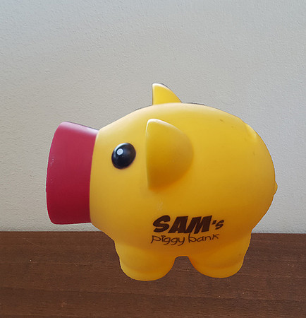 2019-07-20 - Animal Starting with P