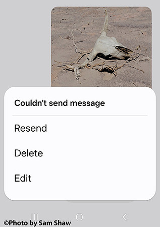 2024-06-28 - Fail