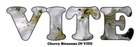 2019-12-02 - In vite