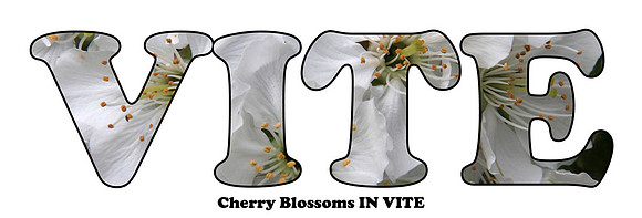 2019-12-02 - In vite