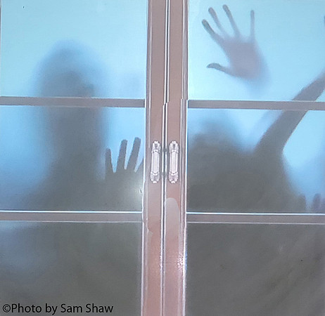 2022-11-19 - Nosy