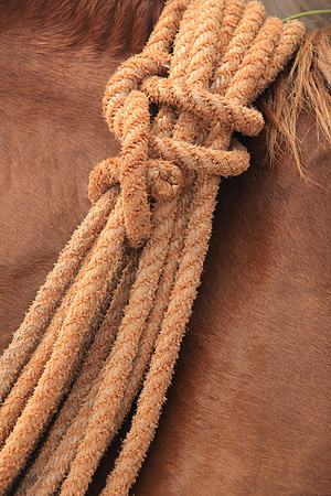 Rope Detail