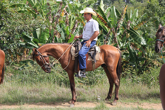 Cuban Cowboy