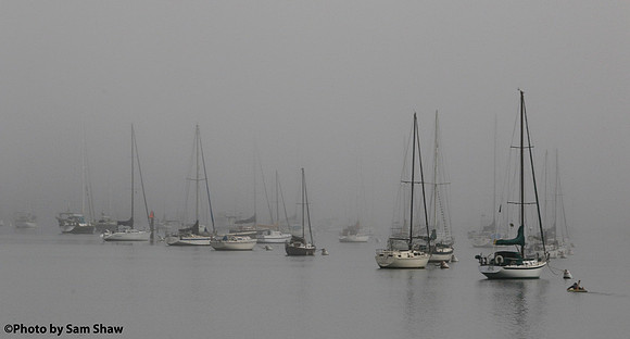 2024-06-23 - Fleet