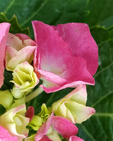 20190515_154829