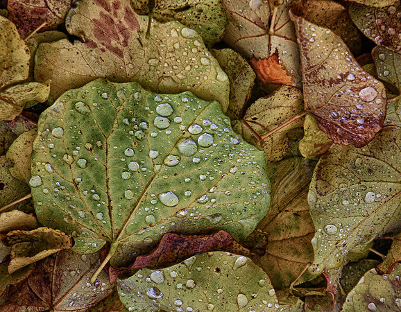2015-12-17 - Season