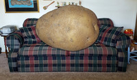 2019-09-04 - Couch Potato