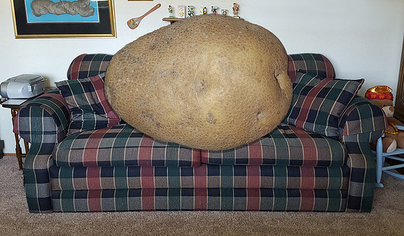 2019-09-04 - Couch Potato