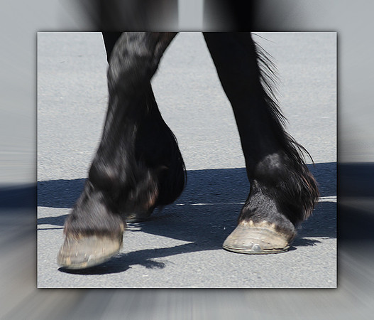 2017-06-09-Under My Feet