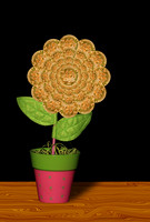 2016-01-18 - A Golden Bloom