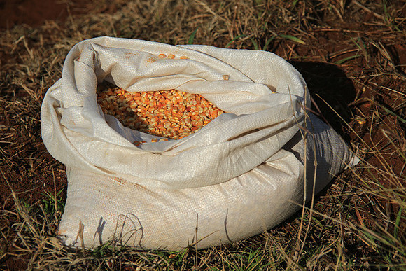 Sack of Corn