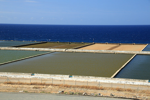 Shrimp and Lobster Farm