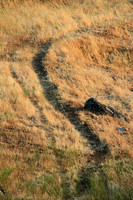 2015-07-19 - S Curve
