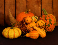 2017-68-4303 - Pumpkins and Gourds