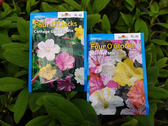 2018-04-05 - Four OClock