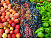2017-08-16 - Agriculture