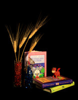 2018-17-2145 - Little Red Dragon